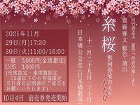 糸桜3