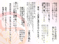 糸桜4